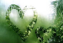 德国游泳选手准备决赛