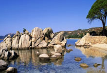 河南鲲龙队迎战浙江稠州队权力之争即将揭晓