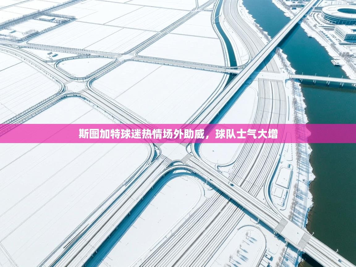 斯图加特球迷热情场外助威，球队士气大增  第2张